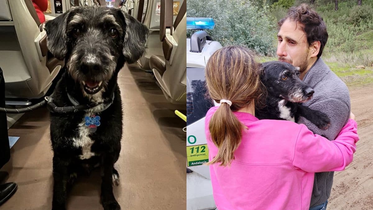 El emotivo de reencuentro de Boro con su familia que conmovió a toda España tras el accidente de trenes en Adamuz
