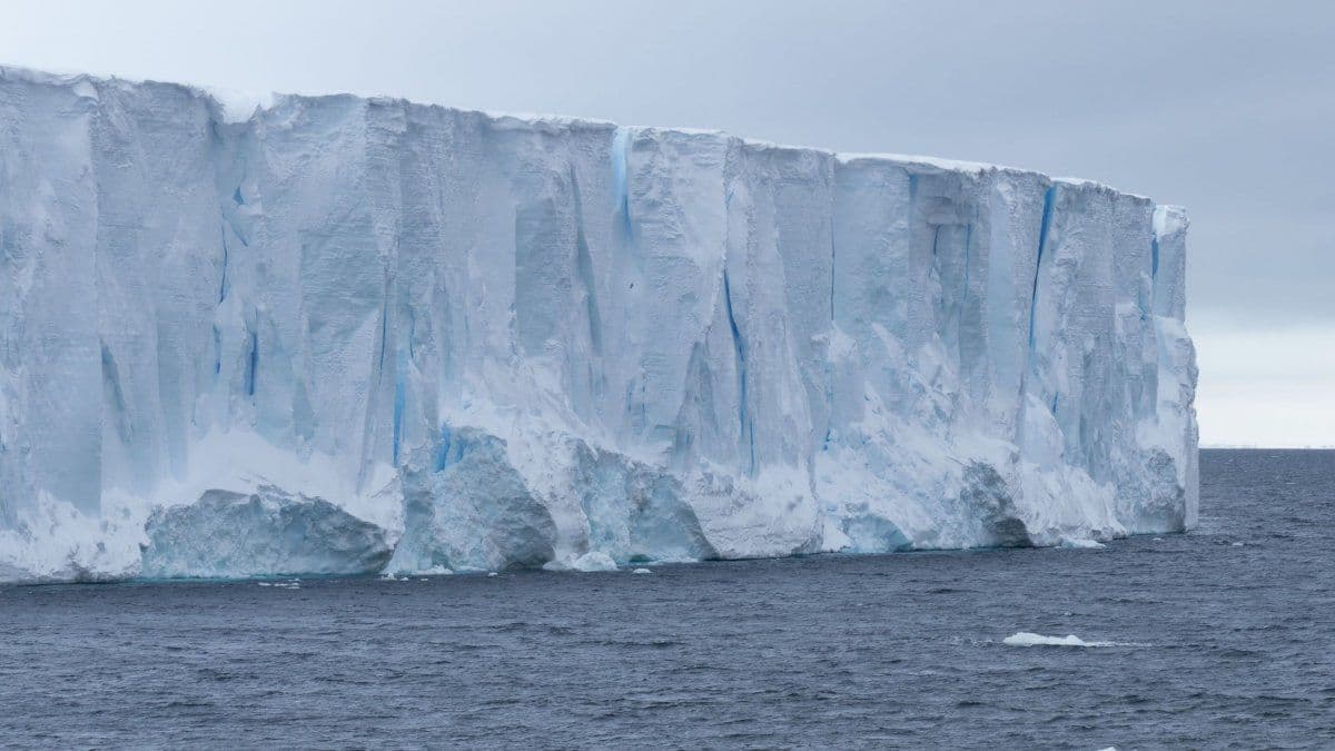 Científicos desarrollaron una IA que rastrea la trayectoria y evolución de los icebergs