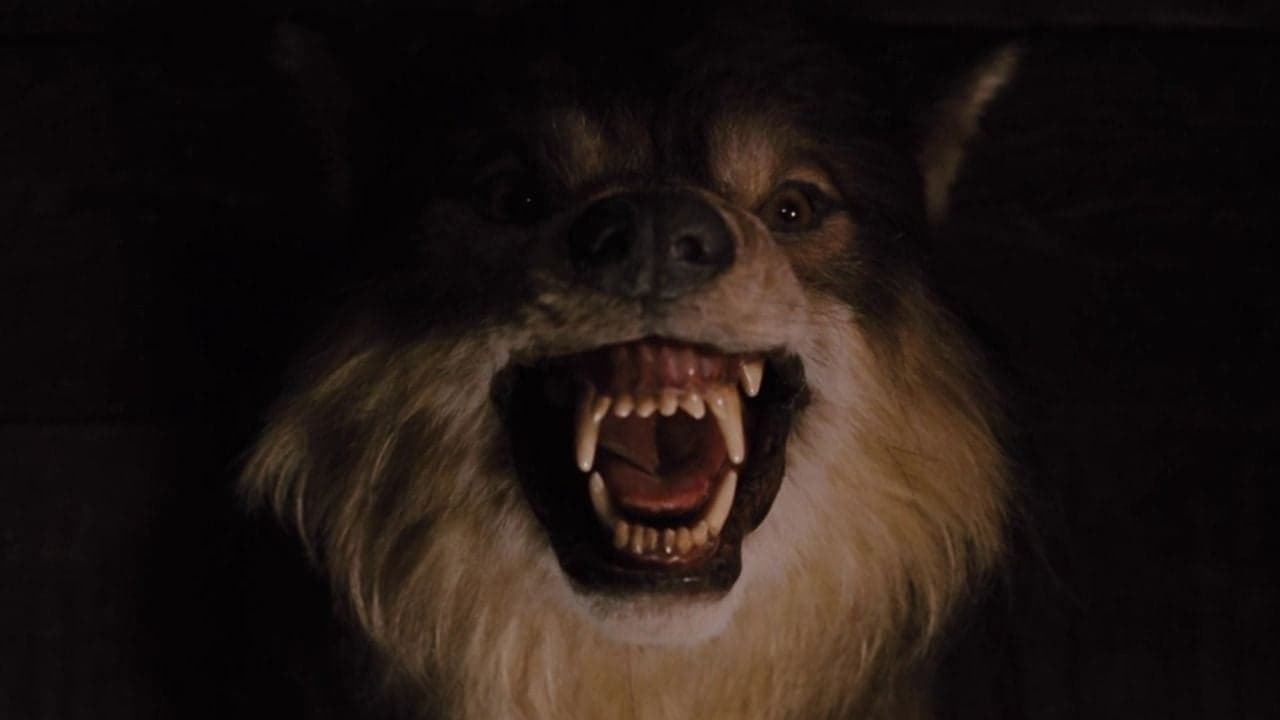 Una de las mejores películas de terror del siglo XXI está en ‘streaming’: un ingenioso y adictivo entretenimiento de solo hora y media