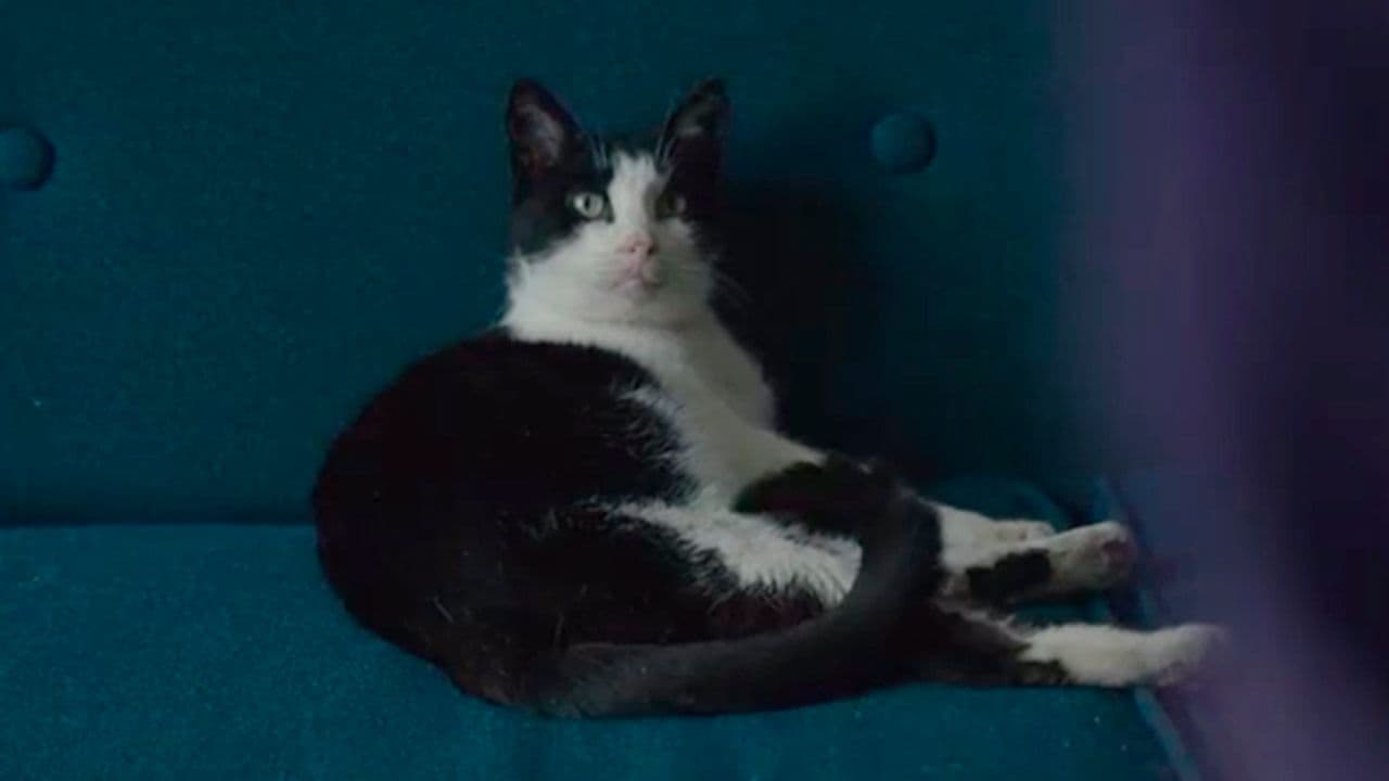 Hace 11 años, un despido fulminante hundió esta película: tiempo después acabaría llegando a los Oscar