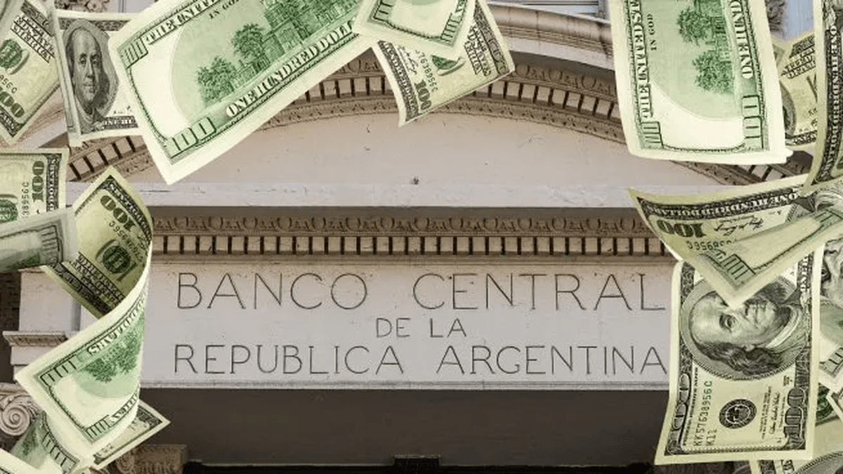 Las reservas del BCRA se recuperaron ante mejora en el precio del oro y volvieron a superar los u$s46.000 millones