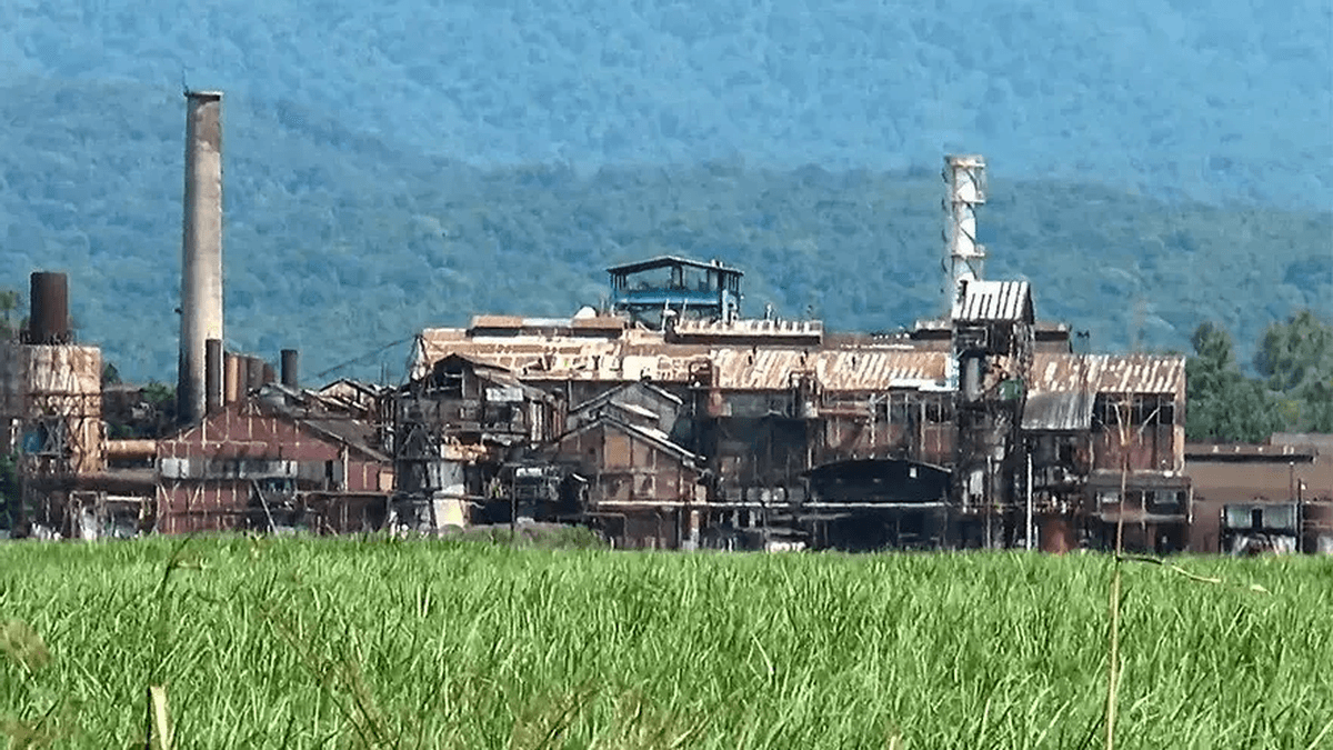 Suspenden el primer juicio por complicidad empresarial en Tucumán: el fantasma de la impunidad biológica se cierne sobre La Fronterita