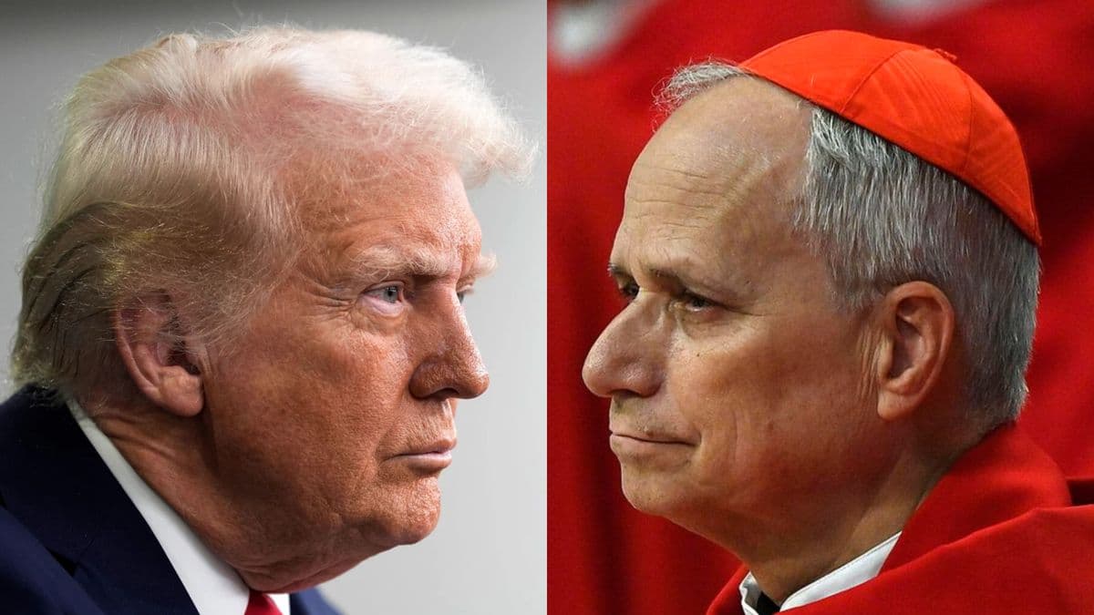 Donald Trump tildó de «débil y terrible» al Papa y León XIV respondió: «No le temo»