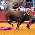 Cómo sigue Morante de la Puebla, el torero que fue corneado en el recto