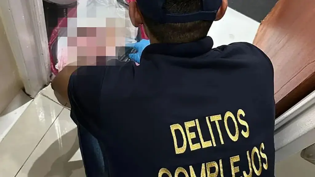En Villa Ballester encontraron ocho fetos en bolsas de consorcio e investigan una red de venta de bebés