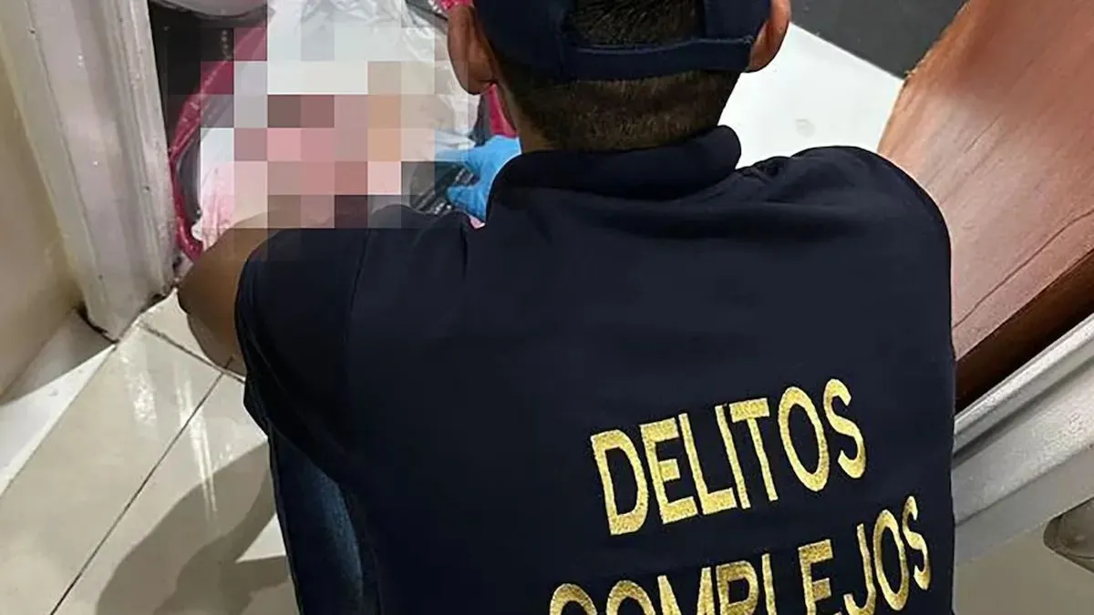 En Villa Ballester encontraron ocho fetos en bolsas de consorcio e investigan una red de venta de bebés