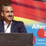 Alemania: el partido de ultraderecha AfD se fortalece mientras Merz enfrenta un panorama difícil en el gobierno