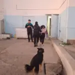 Arrojó piedras a un departamento, amenazó y fue aprehendida