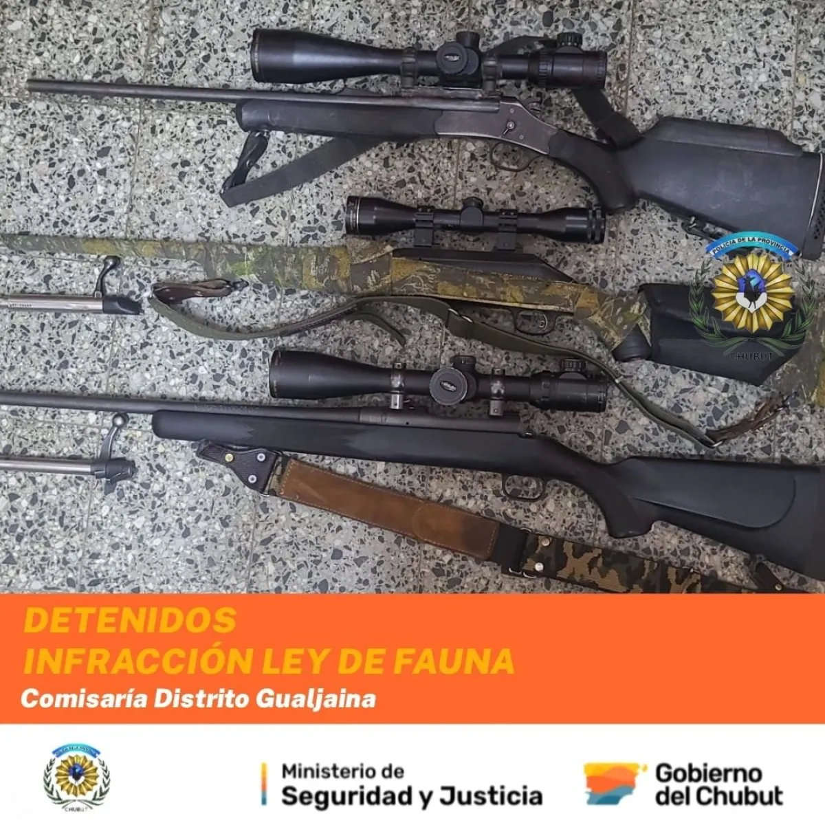 Cazaban sin autorización en Gualjaina y fueron detenidos con un guanaco faenado