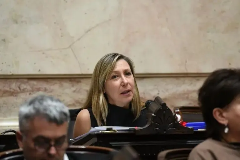 Diputados dio media sanción a la "Ley Hojarasca", que busca derogar 60 normas