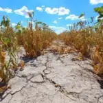 El Gobierno Nacional declaró la emergencia agropecuaria en Chubut