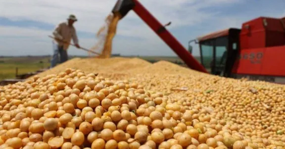 El Gobierno restableció las retenciones para la soja y maíz