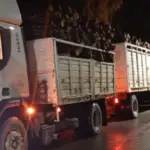 El Maitén: secuestran un cargamento de leña por irregularidades en la documentación