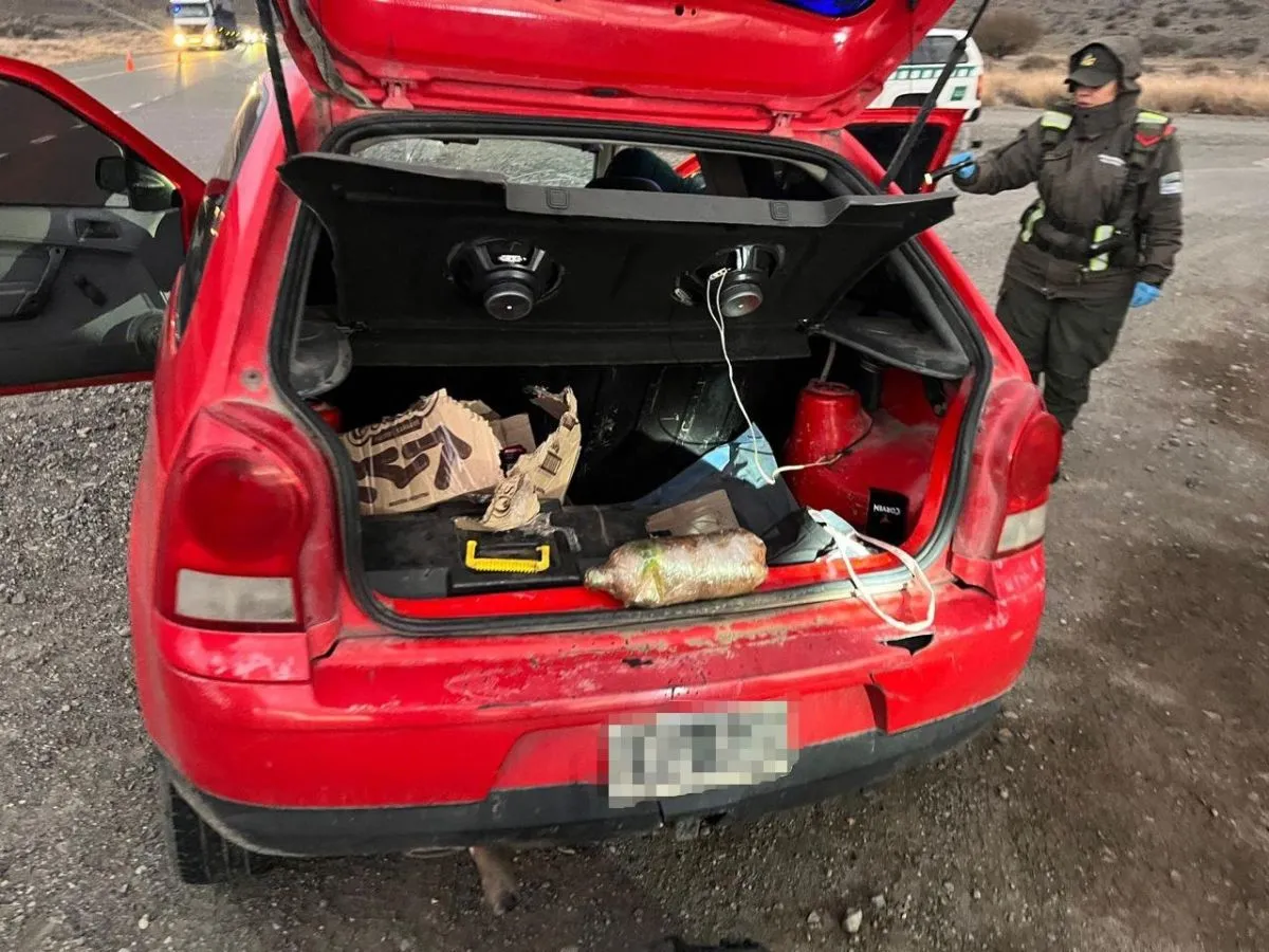 Gendarmería secuestró marihuana y cigarrillos de cannabis en Tecka
