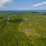 La Amazonía, bajo amenaza: narcotráfico y minería ilegal expanden el poder criminal