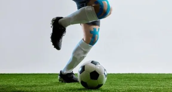 La División de Honor se reparte entre dos gimnasios