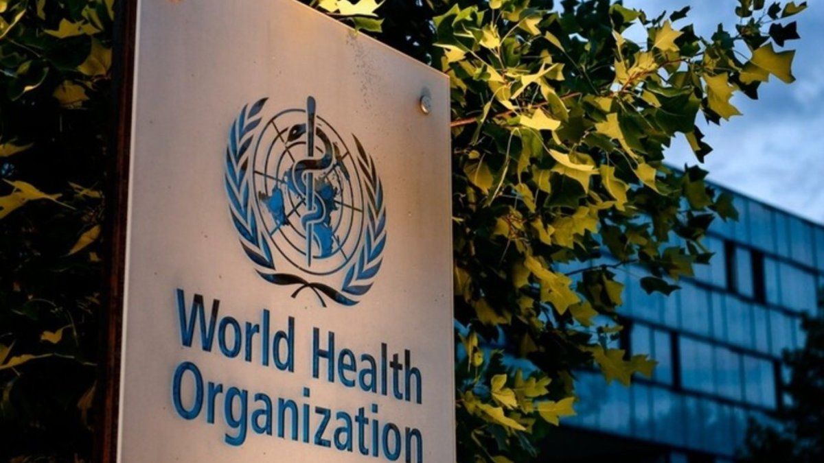 La OMS advirtió que podrían aparecer nuevos casos de hantavirus, pero afirmó que el riesgo global es bajo