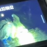 Lograron salvar a cinco personas atrapadas en una cueva de Tailandia
