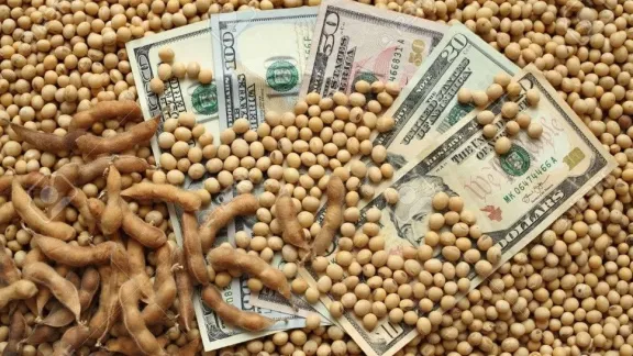 Menos retenciones, más dólares: el campo calmó al mercado