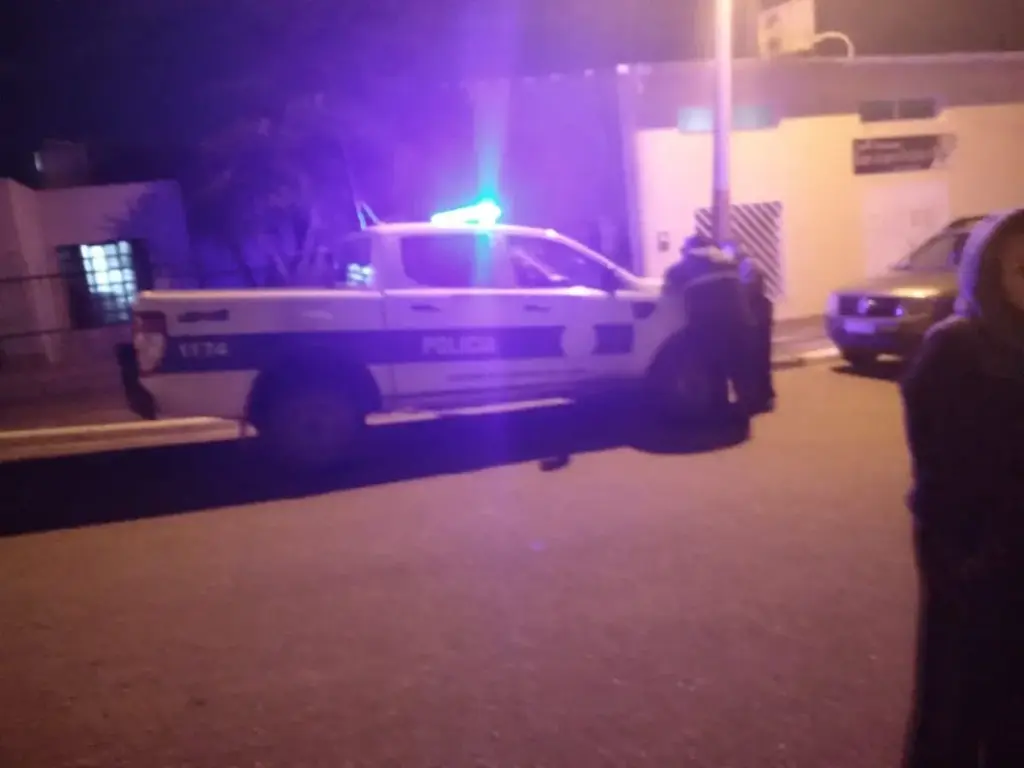 Rescataron a dos perros que eran maltratados en Palazzo