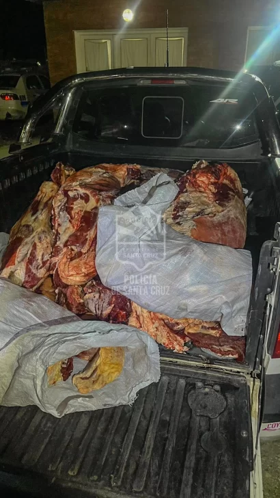 Santa Cruz: Secuestran dos vacas faenadas en un control policial