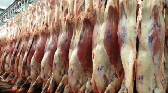 Se duplicaron las exportaciones de carne argentina a Estados Unidos