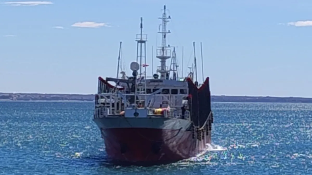 Un barco potero descarga 850 toneladas de calamar destinado a exportación
