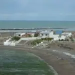 Una niña de 5 años murió tras ser atacada por un perro en Playa Magagna
